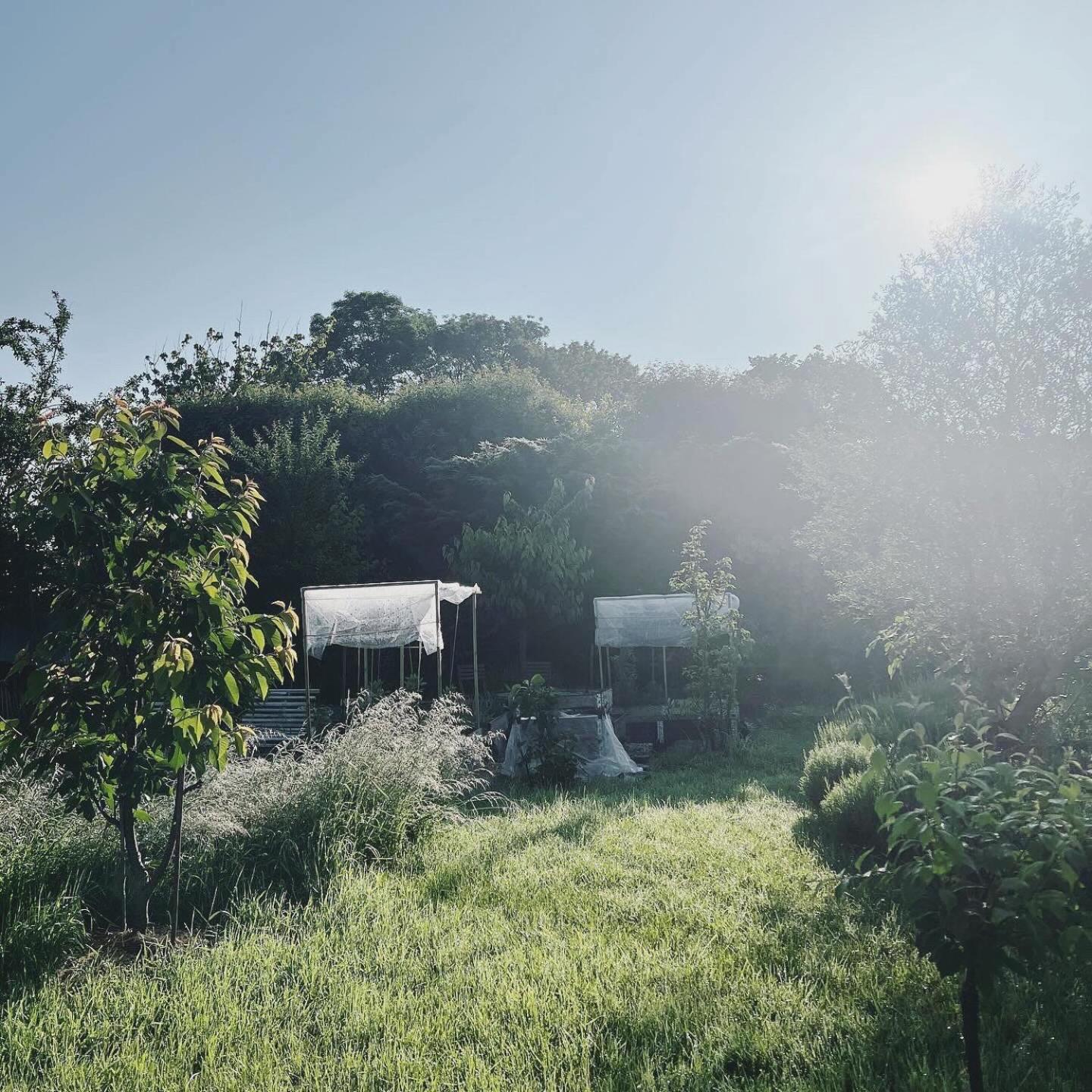 Maisonnette - La Clochette Lugon et l'Ile du Carney Bagian luar foto